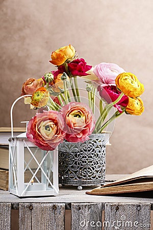 Colorful persian buttercup flowers (ranunculus) Stock Photo