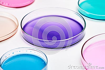 Colorful Petri dish with media in a microbiology laboratory. Chemical research with different liquids. Stock Photo