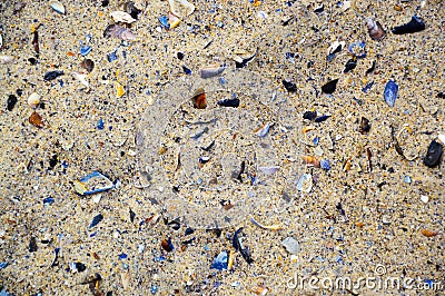 Colorful photo of the sea beach sand with a lot of color broken shells Stock Photo