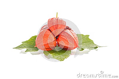 Colorful physalis on leaves Stock Photo