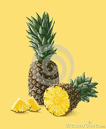 colorful pineapple Hand drawing sketch engraving illustration style Vector Illustration