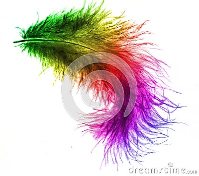 Colorful plume Stock Photo