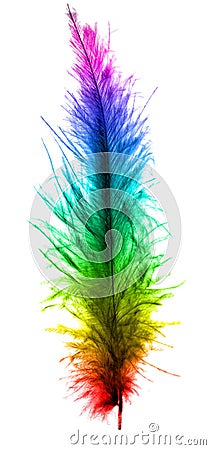 Colorful plume Stock Photo