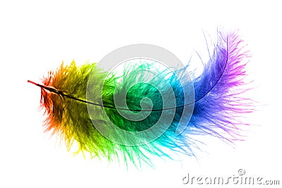 Colorful plume Stock Photo