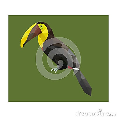 Colorful polygonal style design of tropical tucan bird Vector Illustration