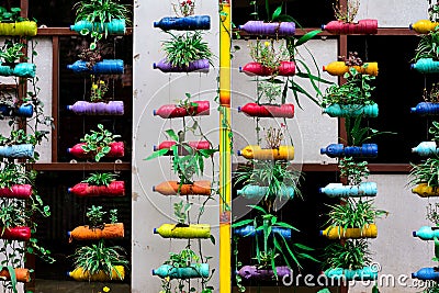 colorful pot plants from recycle plastic bottle drink Stock Photo