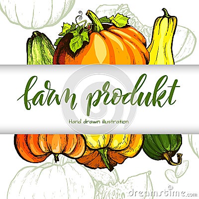 Colorful pumpkin vector hand drawn illustration. Vector Illustration