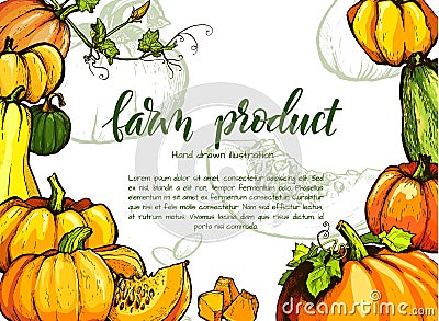 Colorful pumpkin vector hand drawn illustration. Vector Illustration