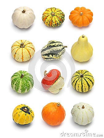 Colorful pumpkin and squash collection Stock Photo