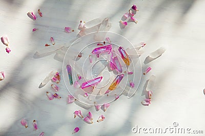 Colorful quartz crystals with pink rose leaves on wooden structure Stock Photo