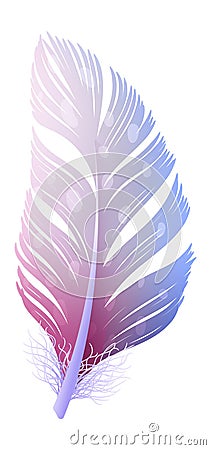 Colorful quill. Curved fluffy feather in tribal boho style Vector Illustration