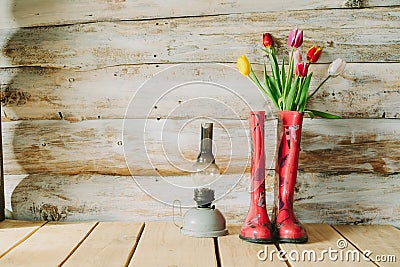 Colorful rain boots with spring flowers and oli lamp in wooden b Stock Photo