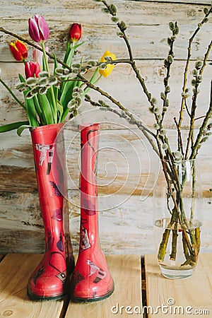 Colorful rain boots with spring flowers and willow branches in w Stock Photo