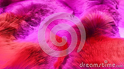 Colorful Red And Pink Hair Length Carpet 3D Rendered Background Front View. Stock Photo