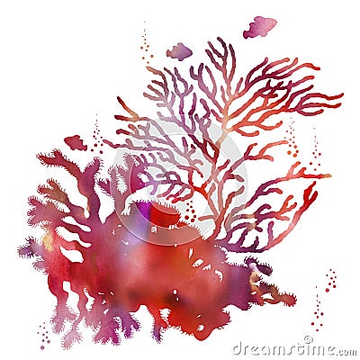 Colorful red watercolor coral reef scenery clip art. Cartoon Illustration