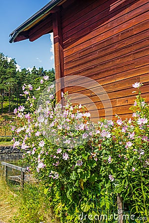 The colorful red wooden warehouses of Porvoo in Finland during a warm summer day - 4 Stock Photo