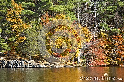 Colorful reflections of fall foliage on West Hartford reservoir. Stock Photo