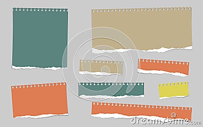 Colorful ripped blank note paper are stuck on gray background Vector Illustration