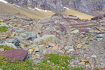 Colorful Rocks in a Scree Field Stock Photo