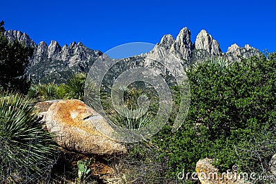 Colorful rocks, trees, and stands of yucca enhance Organ Mountains-Desert Peaks National Monument in New Mexico Stock Photo