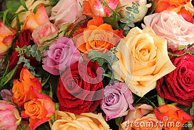 Colorful rose bouquet Stock Photo