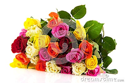 Colorful roses Stock Photo