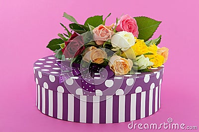 Colorful roses and birthday present Stock Photo