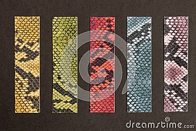 Colorful samples of fashion genuine leather different colors embossed under the exotic skin reptiles, fashion industry and Stock Photo