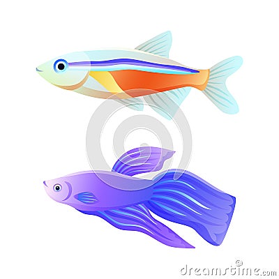 Colorful Sea Inhabitant Neon Tetra and Betta Fish Vector Illustration