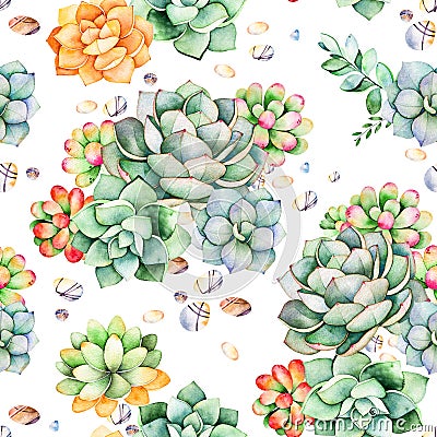 Colorful Seamless pattern with succulents plants, pebble stones,branches Stock Photo