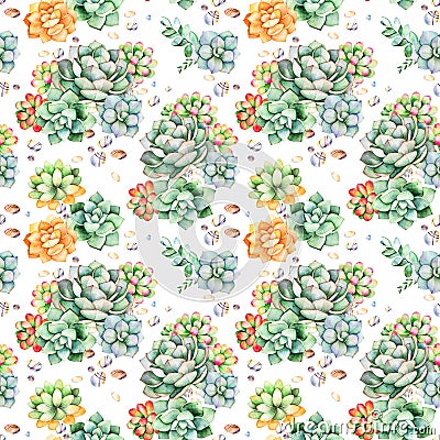 Colorful Seamless pattern with succulents plants, pebble stones,branches and more Stock Photo