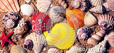 colorful seashells on beach sand Stock Photo