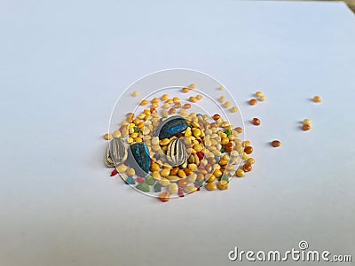 Colorful seed for lovebird feed Stock Photo