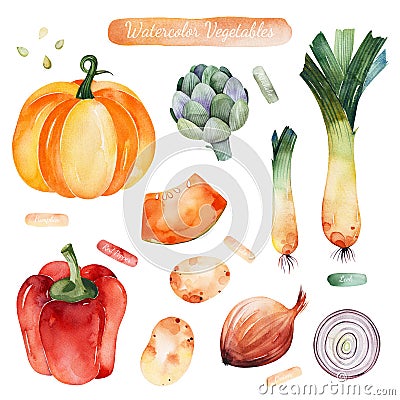 Colorful set with pumpkin,onion,red pepper,potatoes,artichoke,leek. Stock Photo