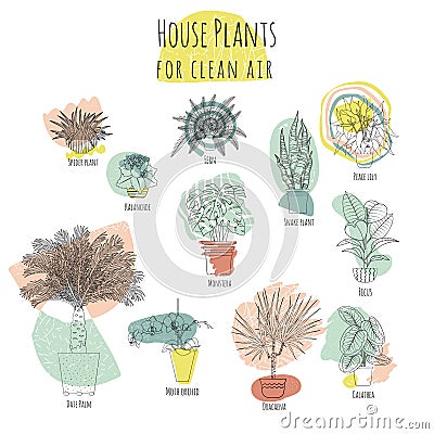 Colorful set of various potted houseplants for clean air. Abstract shapes on background Vector Illustration