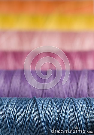 Colorful sewing thread Stock Photo