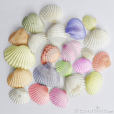 Colorful shells Stock Photo