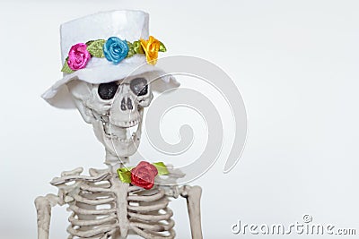 Colorful Skeleton with hat on white background Stock Photo