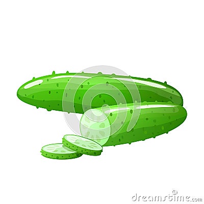 Colorful sliced cucumber Vector Illustration