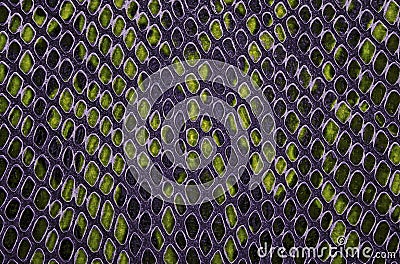Colorful snake skin texture. Seamless pattern Stock Photo