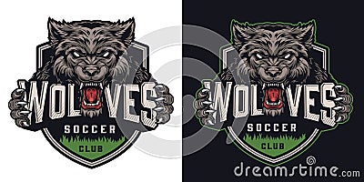 Colorful soccer club logotype Vector Illustration