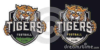 Colorful soccer team badge Vector Illustration