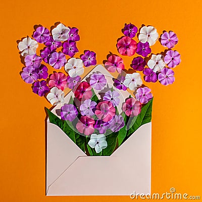 Colorful spring flowers in envelope, flower delivery and love concept Stock Photo