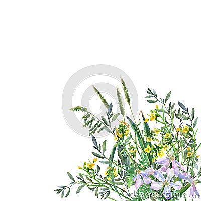 Colorful spring flowers and grass on a meadow. Cartoon Illustration