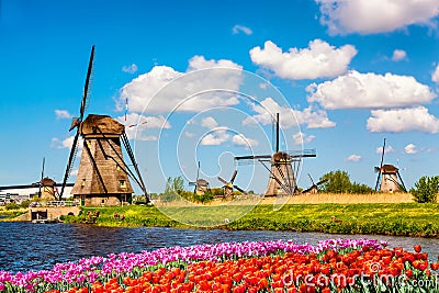 Colorful spring landscape in Netherlands, Europe. Famous windmills in Kinderdijk village with a tulips flowers flowerbed in Stock Photo