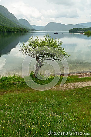 Lake Bohinj and Ukanc village in Triglav national park, Slovenia Stock Photo