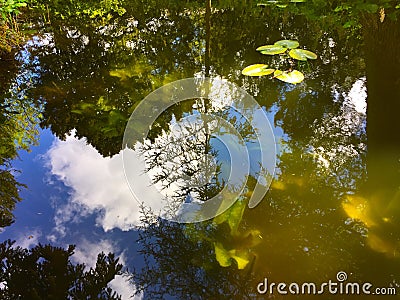 Colorful spring reflections Stock Photo