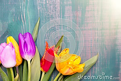 Colorful spring tulip flowers on green wooden background as greeting card with free space Stock Photo