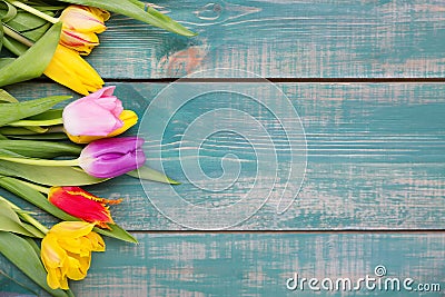 Colorful spring tulip flowers on green wooden background as greeting card with free space Stock Photo