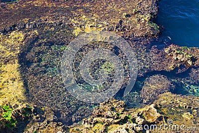 Colorful stones on the Mediterranean sea coast Stock Photo